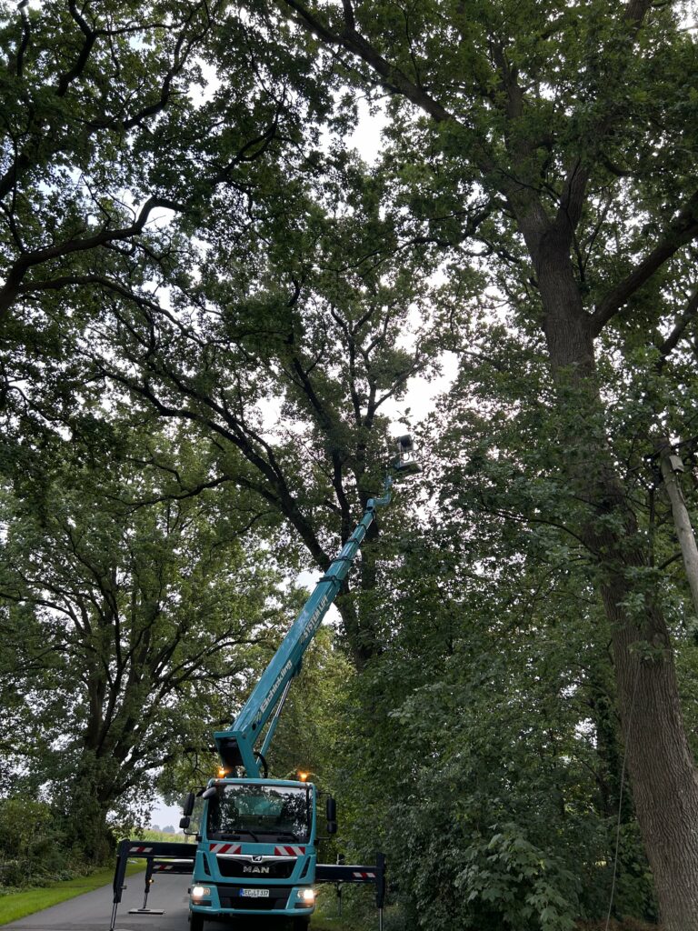 Hubarbeitsbühne im Einsatz